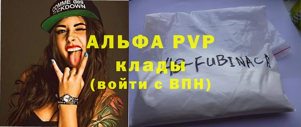 винт Дмитров