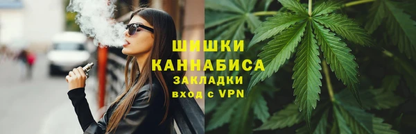 стаф Дмитриев