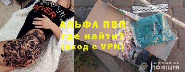 стаф Дмитриев
