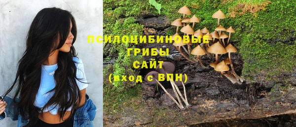 MESCALINE Бежецк