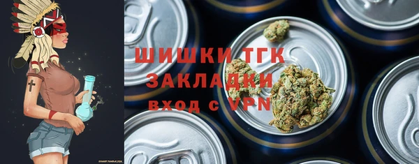 стаф Дмитриев
