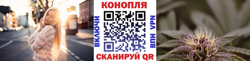 наркота  Дубна  Марихуана сатива 